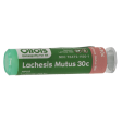 Ollois Organic Homeopathic Medicine Lachesis Mutus 30c Fashion