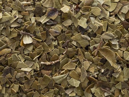 Bulk Uva Ursi Leaf Organic 5oz Online now