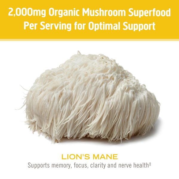 Om Mushroom Lion s Mane Powder Organic 100g Online