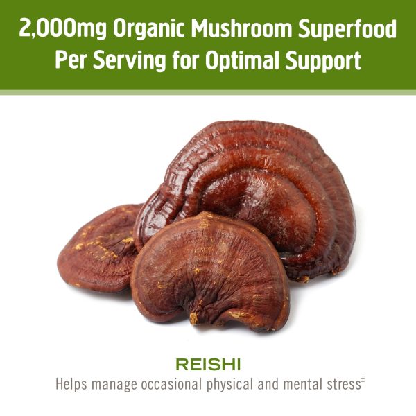 Om Mushroom Reishi Powder Organic 100g For Cheap