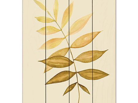 CIN3511PAL - Golden Fern - 12x16 Online Sale